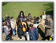 Anteprima. Clicca per ingrandire